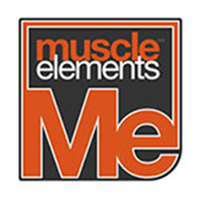  Muscle Elements